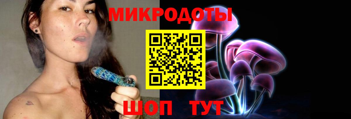 Галлюциногенные грибы Psilocybe  Галлюциногенные грибы прущие грибы  Вышний Волочёк  Вход с VPN 