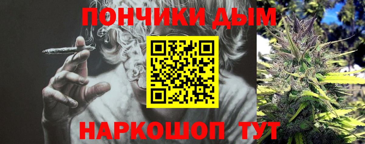 Конопля SATIVA & INDICA Вышний Волочёк